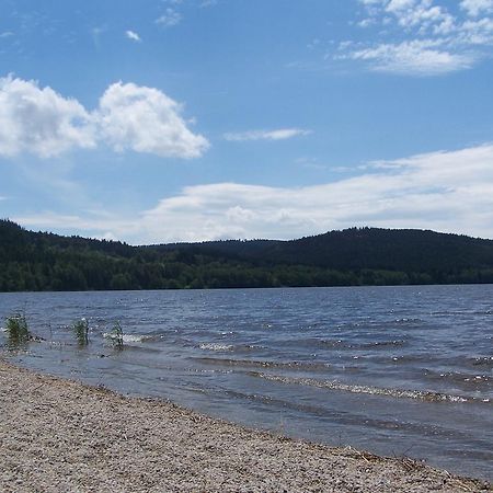 Apartment Lipno Lipno nad Vltavou Dış mekan fotoğraf