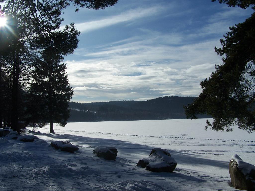 Apartment Lipno Lipno nad Vltavou Dış mekan fotoğraf
